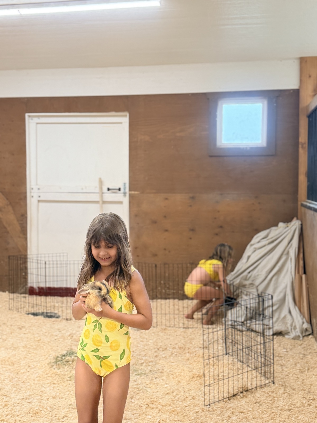 Kids holding bunnies in the sanctuary barn
