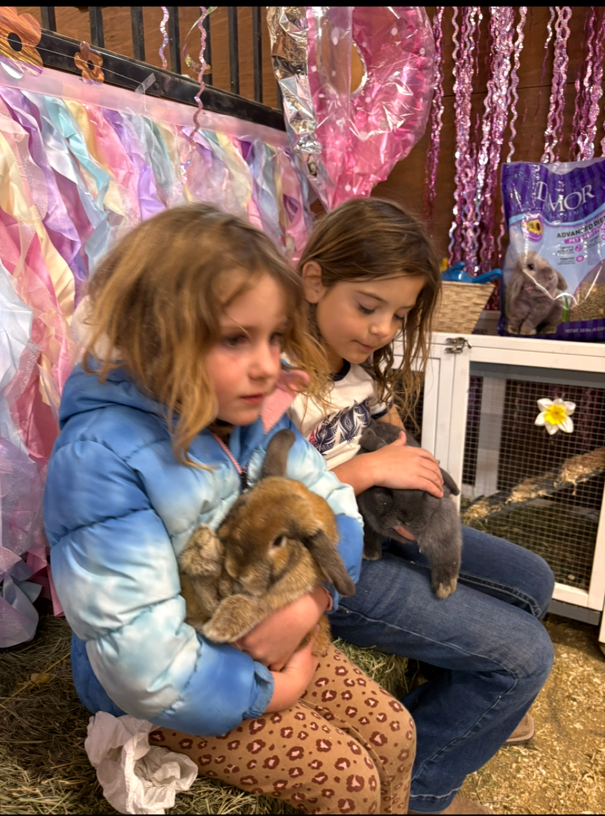 A birthday party and bunny snuggle session