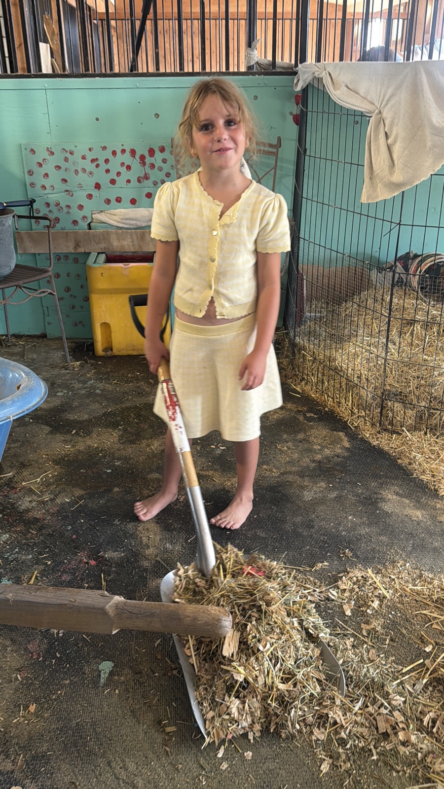 Mucking and fresh bedding on chore day