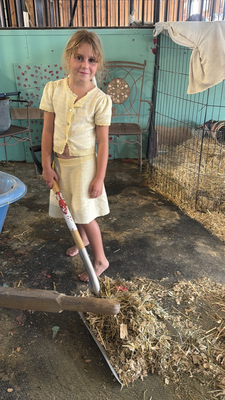 A young volunteer doing morning chores in the sanctuary barn