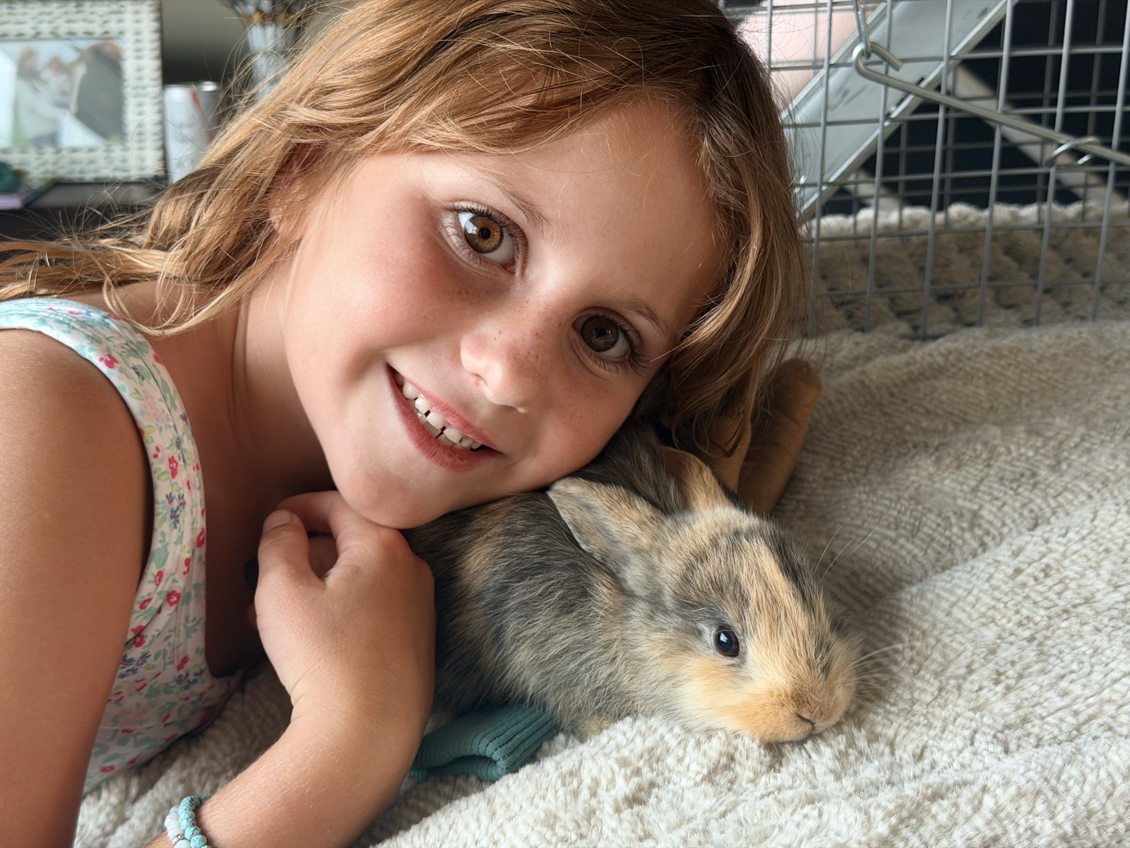 Carrot, the first bunny we caught from under the barn