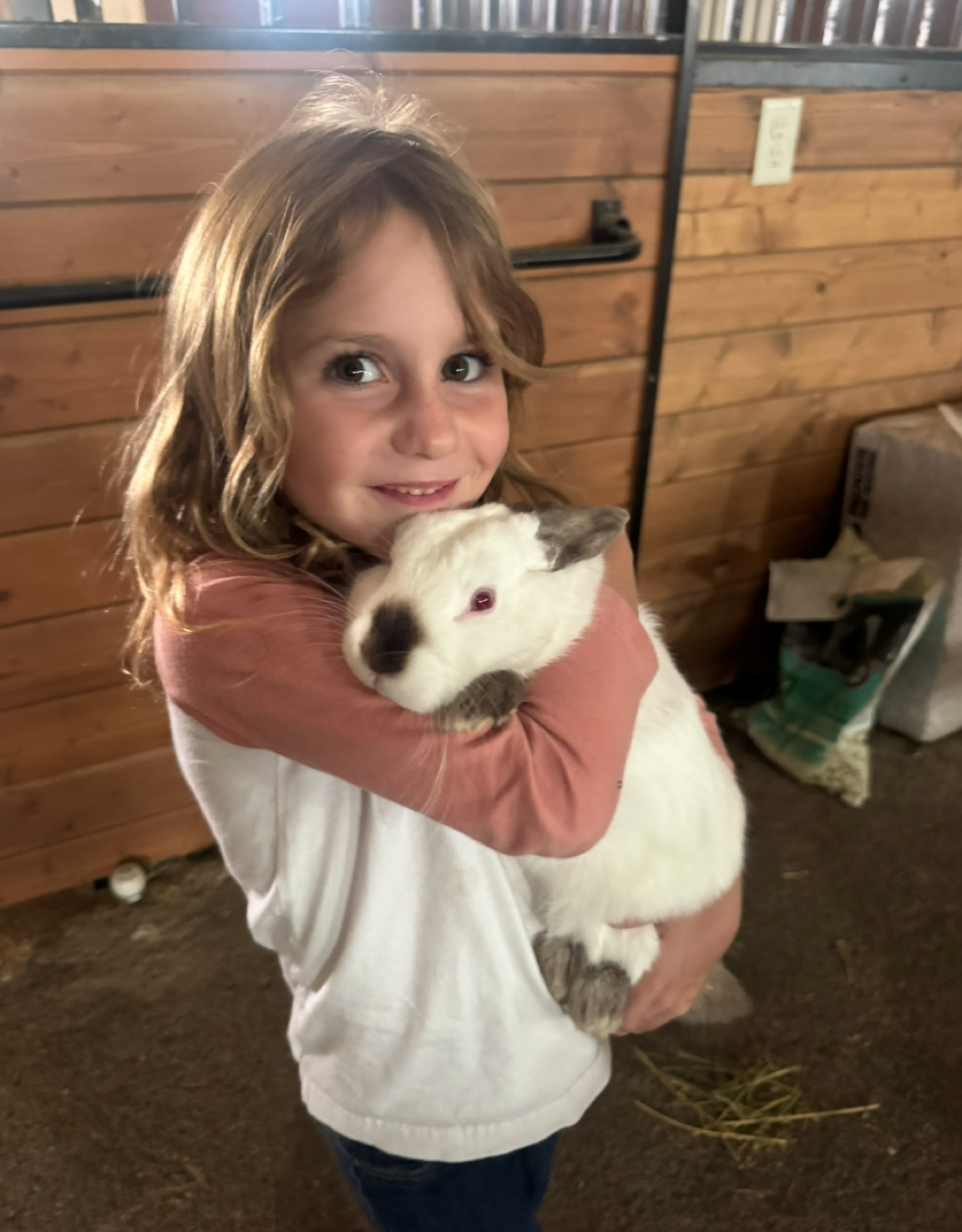 Finish, a surrendered bunny who was later adopted